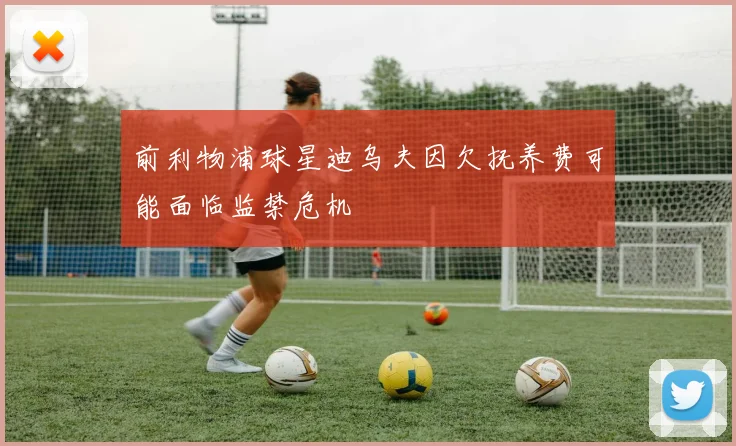 前利物浦球星迪乌夫因欠抚养费可能面临监禁危机